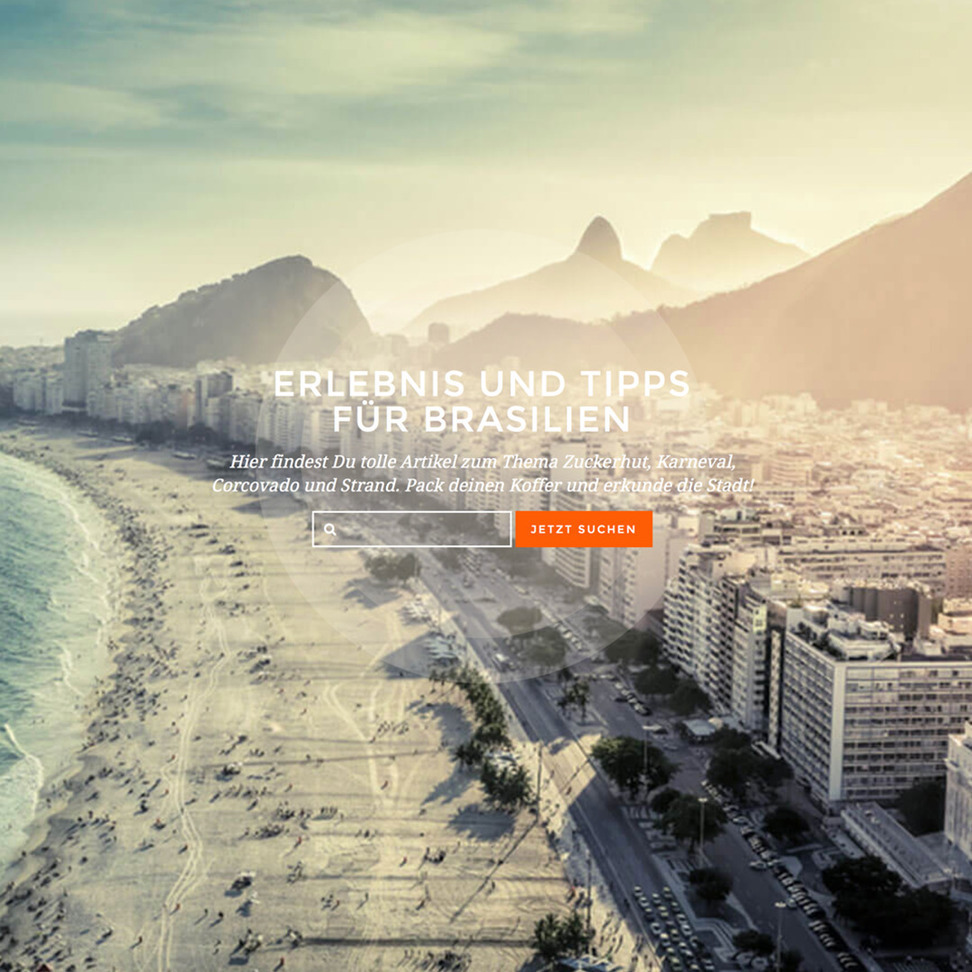 Professionelles Webdesign Agentur - Referenzen Bild 1