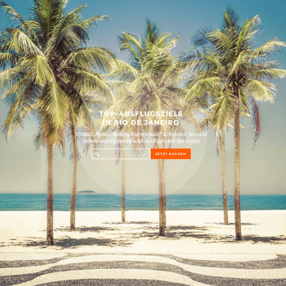 Professionelles Webdesign Agentur - Referenzen Bild 3